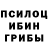 Псилоцибиновые грибы прущие грибы Lol Orlando